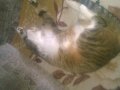 WP_20160116_007.jpg